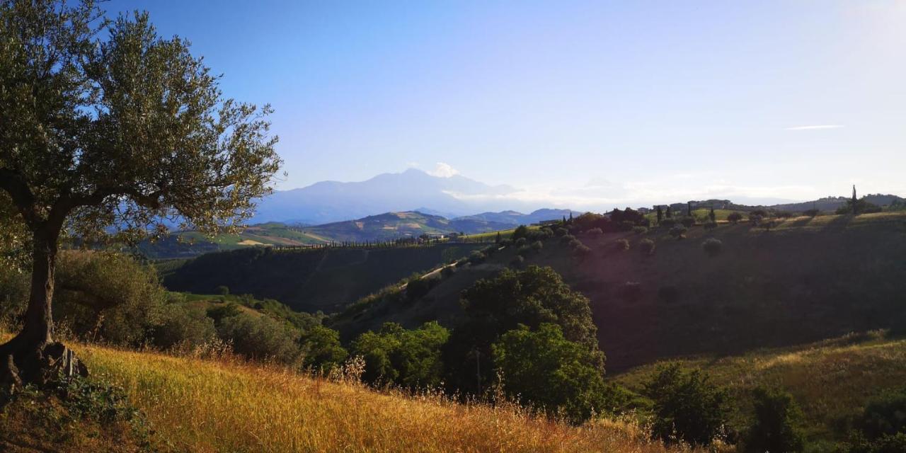 Bed and Breakfast Lory Elice Esterno foto