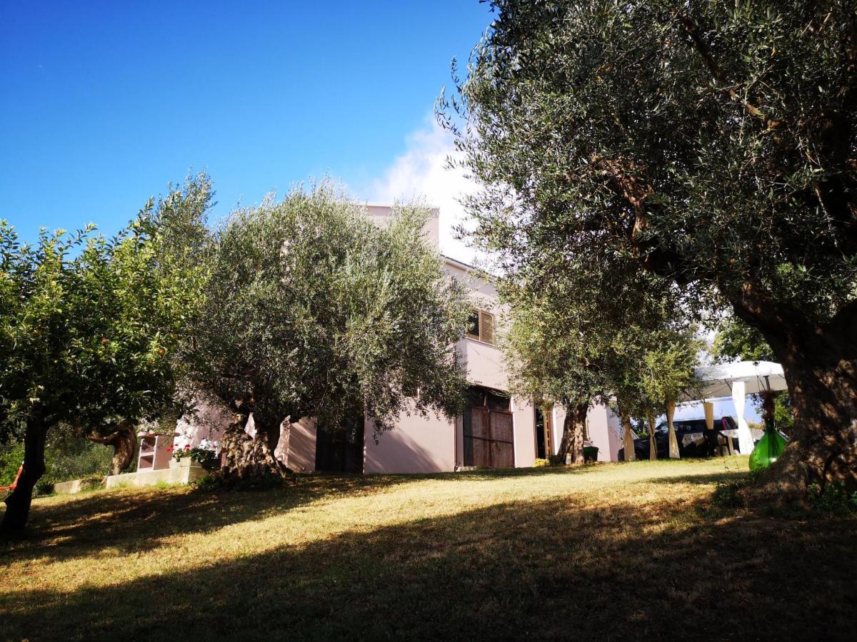 Bed and Breakfast Lory Elice Esterno foto